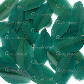 2501-0261-09 - Feather Goose Forest Green 5-8cm 50pcs 2501-0261-09,Feathers natural,montreal, quebec, canada, beads, wholesale