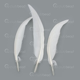 2501-0263-01 - Goose Feather 10-15cm White approx.50pcs 2501-0263-01,Feathers natural,montreal, quebec, canada, beads, wholesale