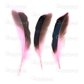 2501-0270-01 - Feather Duck Pink/Black Iridescent 10-15cm 44pcs 2501-0270-01,Feathers natural,Feather,Duck,Pink/Black Iridescent,10-15cm,44pcs,China,montreal, quebec, canada, beads, wholesale