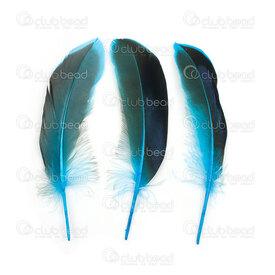 2501-0270-03 - Feather Duck Turquoise/Black Iridescent 10-15cm 44pcs 2501-0270-03,Feathers,Duck,Feather,Duck,Turquoise/Black Iridescent,10-15cm,44pcs,China,montreal, quebec, canada, beads, wholesale