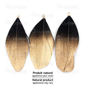 2501-0272-01GL - Feather Duck Black with Gold Spray 7-9cm With Gold Connector 10pcs 2501-0272-01GL,Feathers natural,montreal, quebec, canada, beads, wholesale