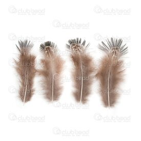 2501-0280-01 - Feather Wild chicken Natural Blue/Green and Brown/White 3-7cm 50pcs 2501-0280-01,50pcs,wild chicken,Feather,wild chicken,Natural Blue/Green and Brown/White,3-7cm,50pcs,China,montreal, quebec, canada, beads, wholesale