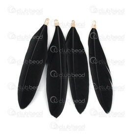 2501-0350-01GL - Feather Duck Black 7-9cm With Gold Connector 20pcs 2501-0350-01GL,20pcs,Duck,Feather,Duck,Black,7-9cm,20pcs,China,With Gold Connector,montreal, quebec, canada, beads, wholesale