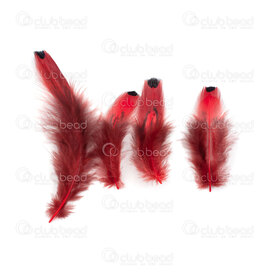 2501-0360-01 - Faisan Plume 4-8cm Rouge Point Noir approx 50pcs 2501-0360-01,Plume,montreal, quebec, canada, beads, wholesale