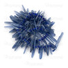 1112-0955-TCHIPS